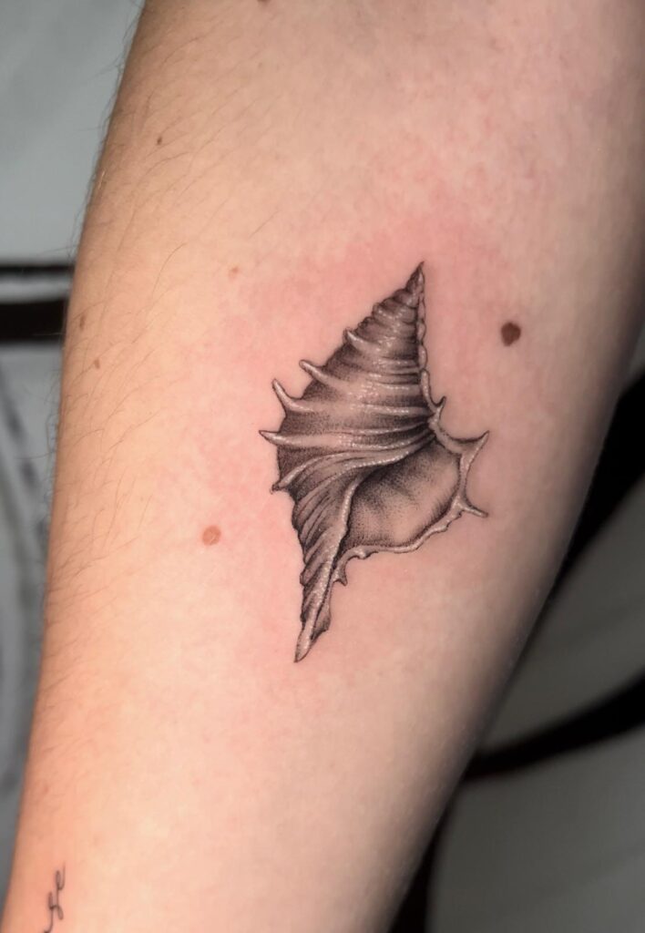 Caracola realista en tatuaje pequeño