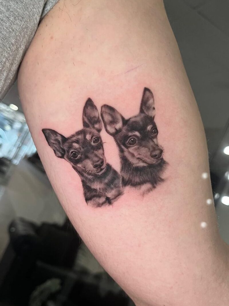 tatuaje microrealista mascotas perritos